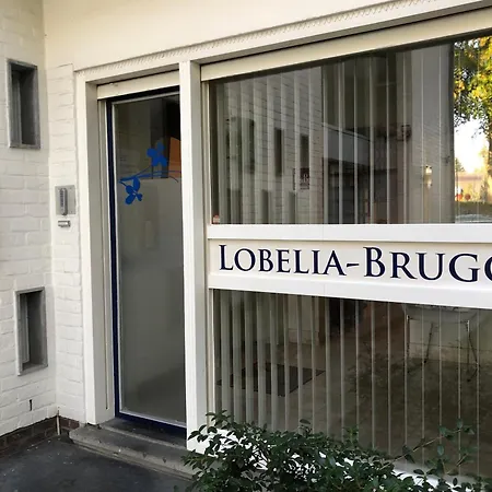B&B Lobelia-Brugge-2